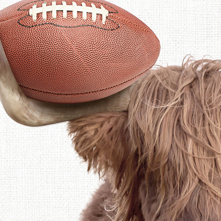 a dog with a football on its head