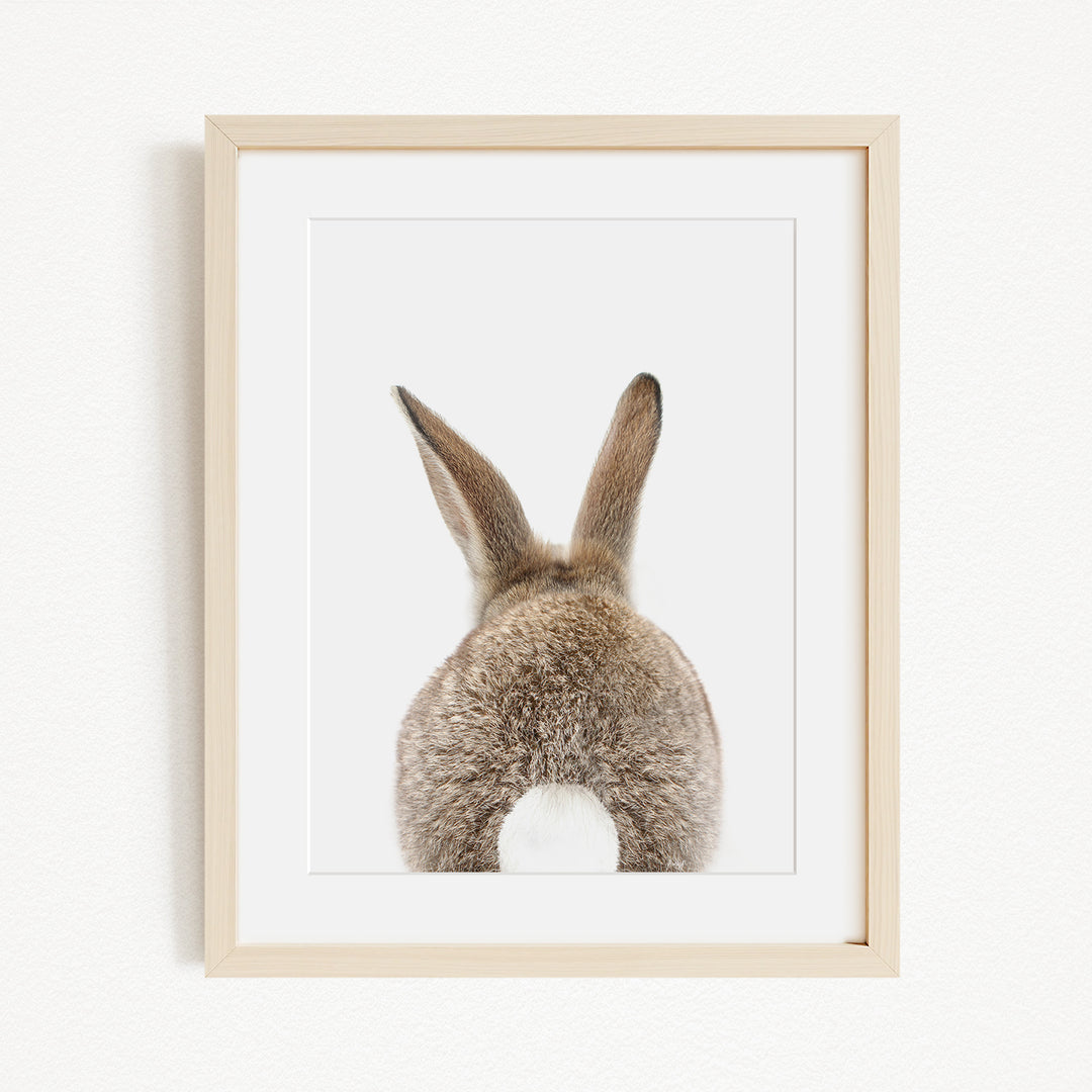 A framed image of a rabbit's back, showing its fluffy tail and long ears.