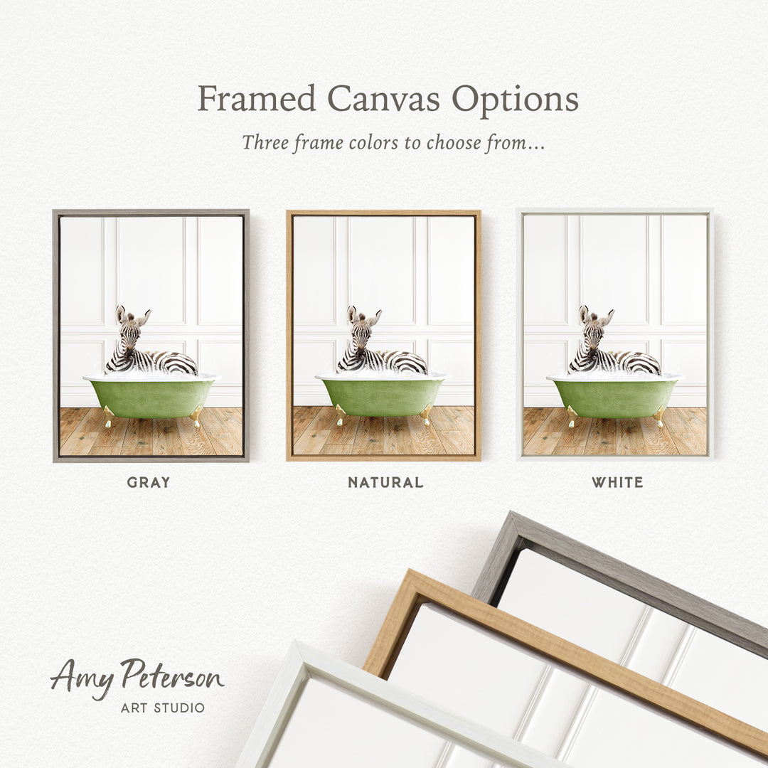 three framed canvas options, each featuring a zebra sitting in a bathtub. The options include a gray frame, a natural frame, and a white frame.