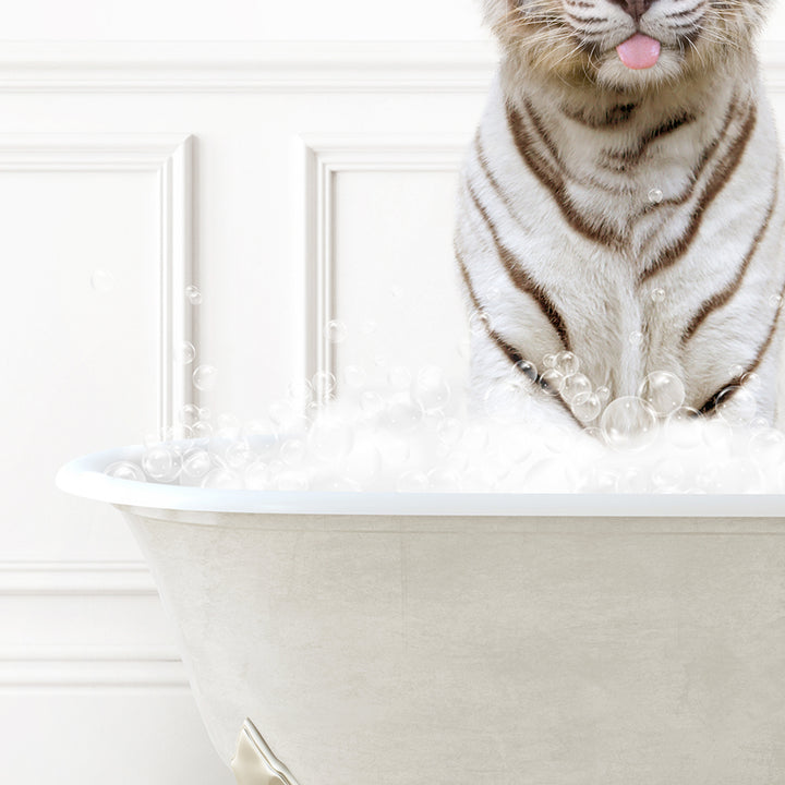 a white tiger sitting in a bathtub with bubbles