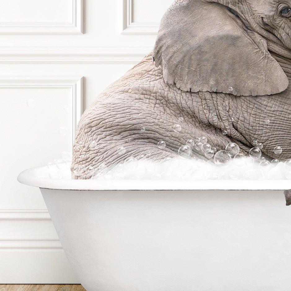 a baby elephant sitting in a bath tub