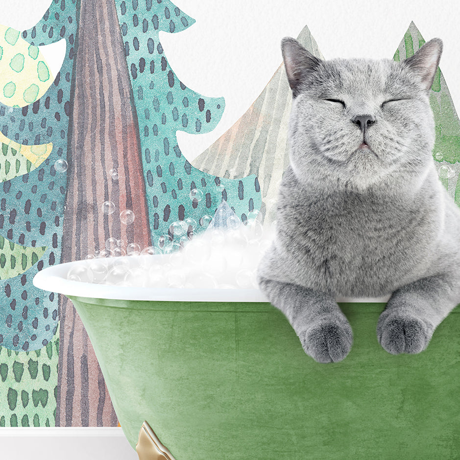 a gray cat sitting in a green bath tub