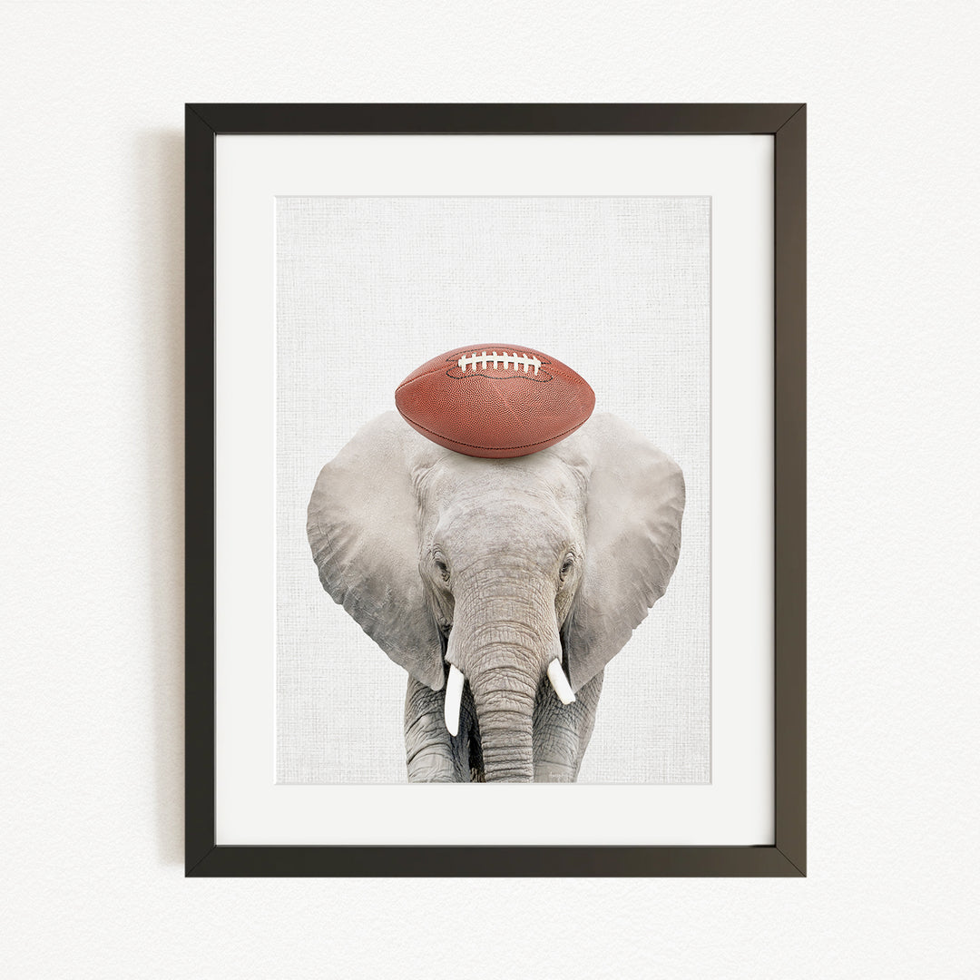 A framed image of an elephant holding a football on its head.