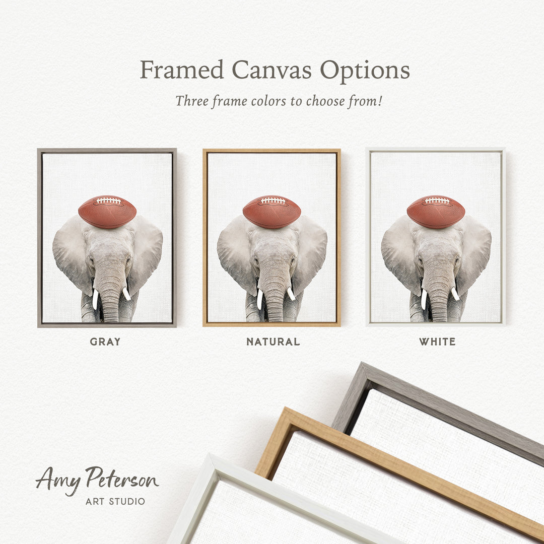three framed canvas options for a picture of an elephant with a football on its head, each with a different frame color: gray, natural, and white.
