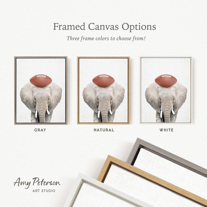 three framed canvas options for a picture of an elephant with a football on its head, each with a different frame color: gray, natural, and white.