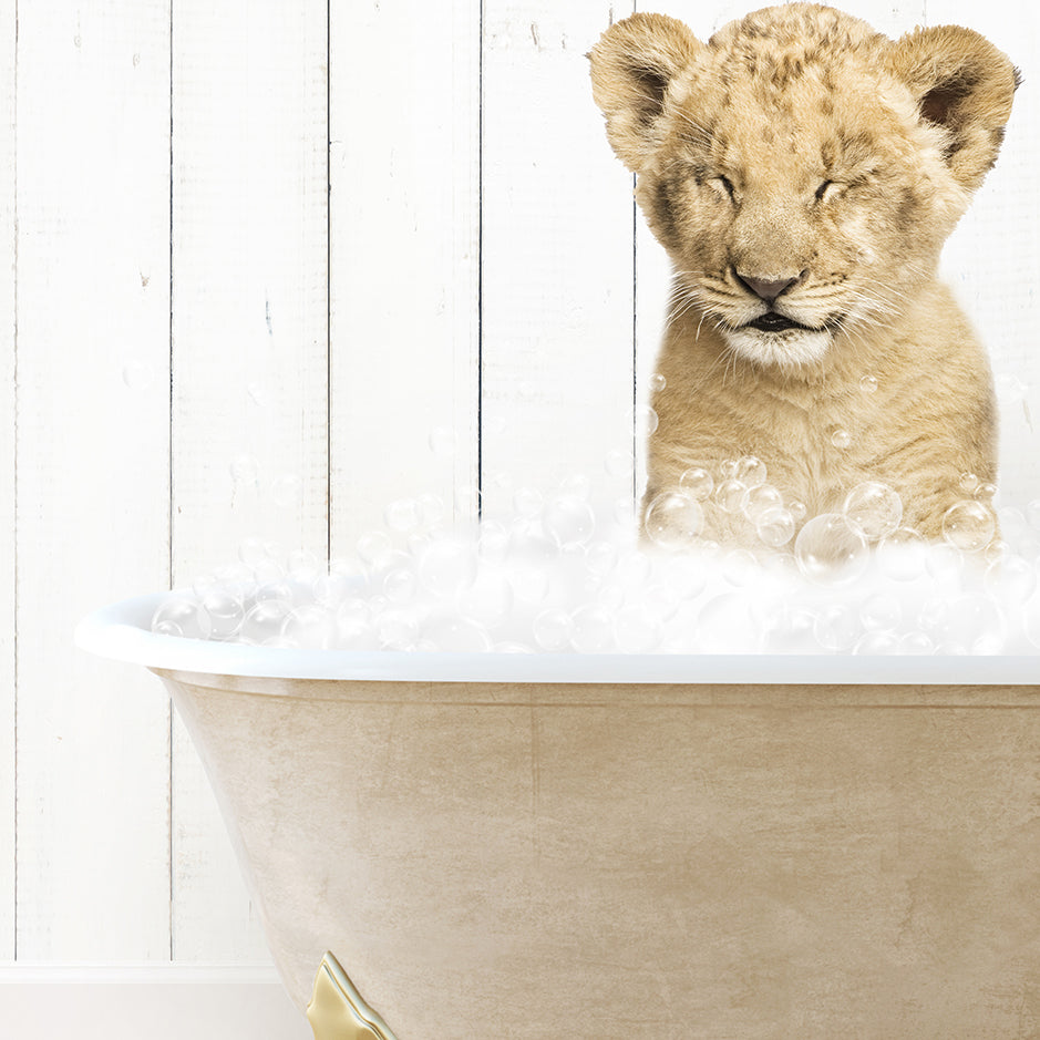 a baby lion sitting in a bathtub filled with bubbles