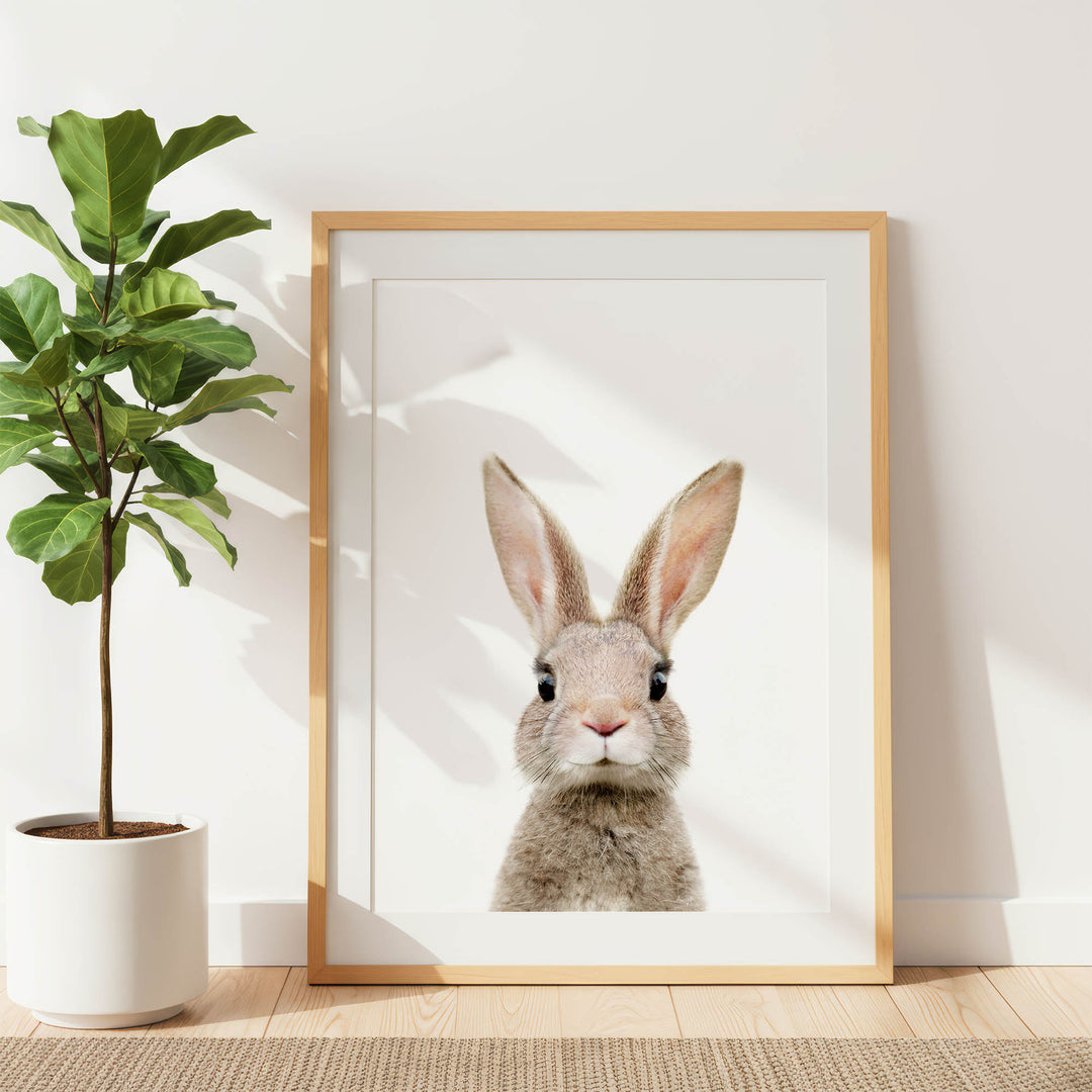 A framed photograph of a rabbit is displayed on a white wall, with a potted plant to the left.