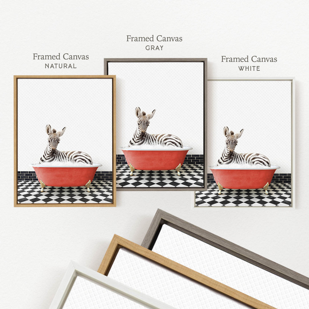 a framed picture of a zebra sitting in a red bathtub, with three different colored frames displayed side by side.