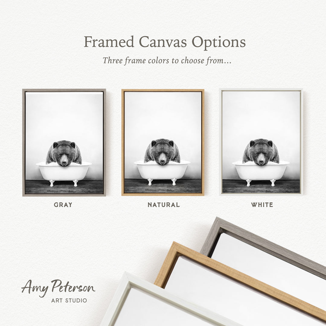 three framed canvas options, each featuring a black and white photograph of a bear sitting in a bathtub. The options include a gray frame, a natural frame, and a white frame.