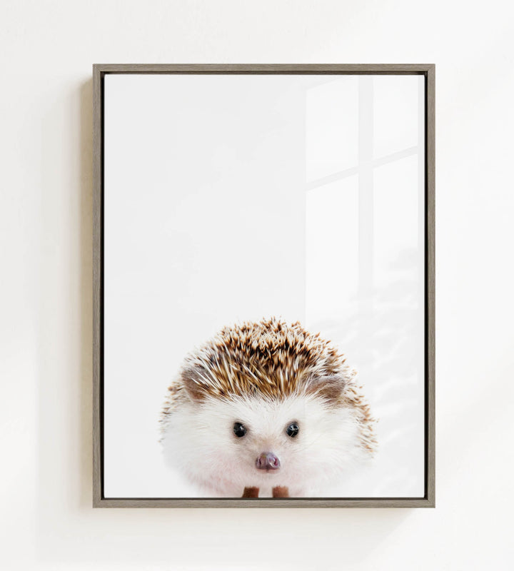 A framed photograph of a hedgehog with a white and brown color pattern and a curious expression.