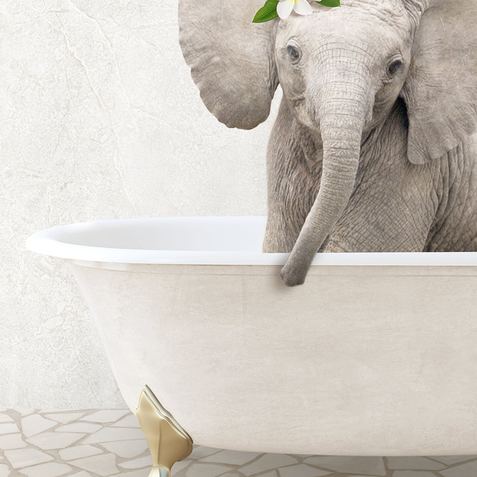 an elephant is taking a bath in a bathtub