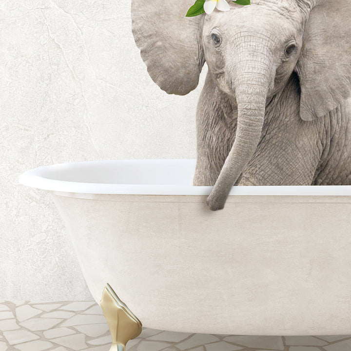 an elephant is taking a bath in a bathtub