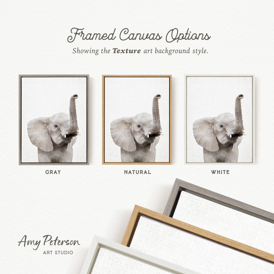 three framed canvas options, each with a different background color: gray, natural, and white. The text above the images reads " Framed Canvas Options" and "Showing the Texture art background style." The artist's name, Amy Peterson, is also mentioned at the bottom of the image.