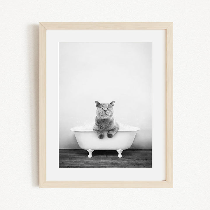 A gray cat sitting in a white bathtub, looking directly at the camera.