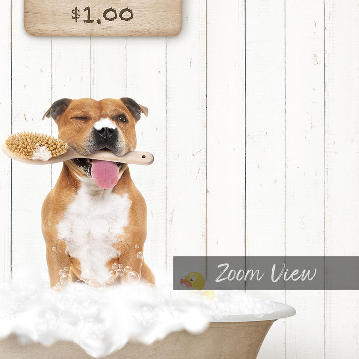 A brown and white dog sitting in a bathtub, holding a brush in its mouth, with a sign above the dog that says "$1.00".