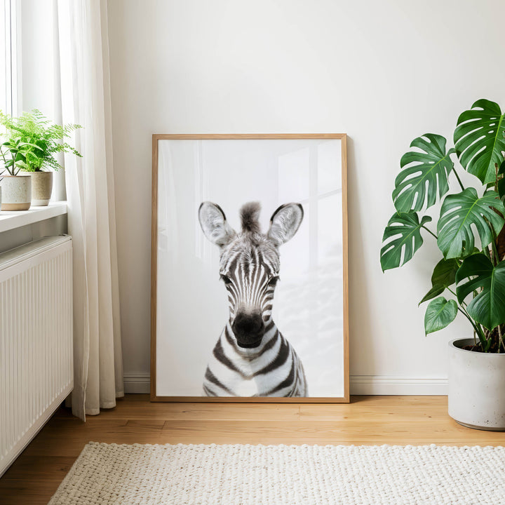 a large framed picture of a zebra standing on a wooden floor in a room with a window and potted plants.