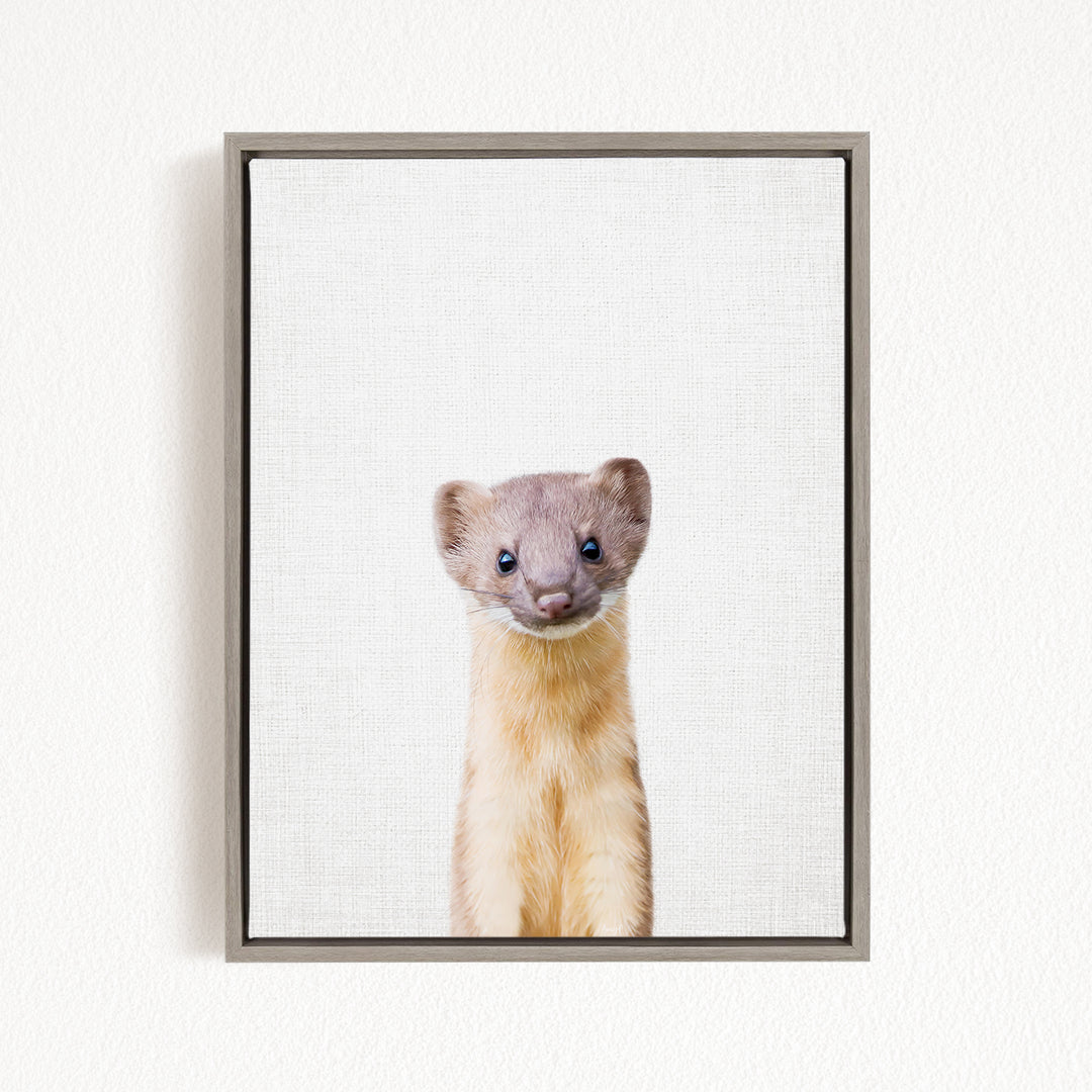 A small, curious-looking animal with a pink nose and ears, looking directly at the camera.