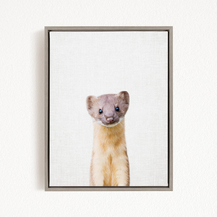 A small, curious-looking animal with a pink nose and ears, looking directly at the camera.