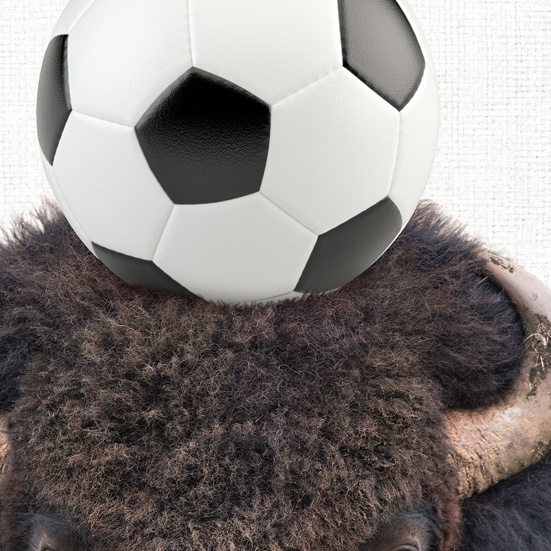 a bison with a soccer ball on its head