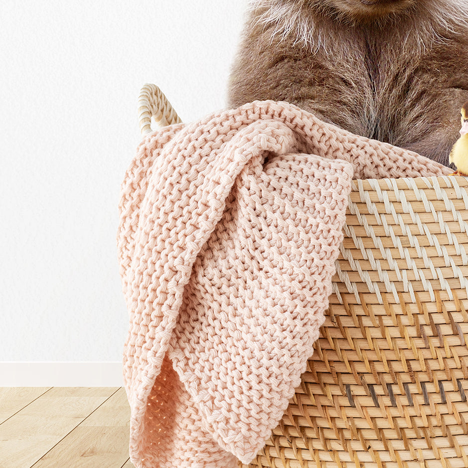 a cat is sitting in a basket with a blanket