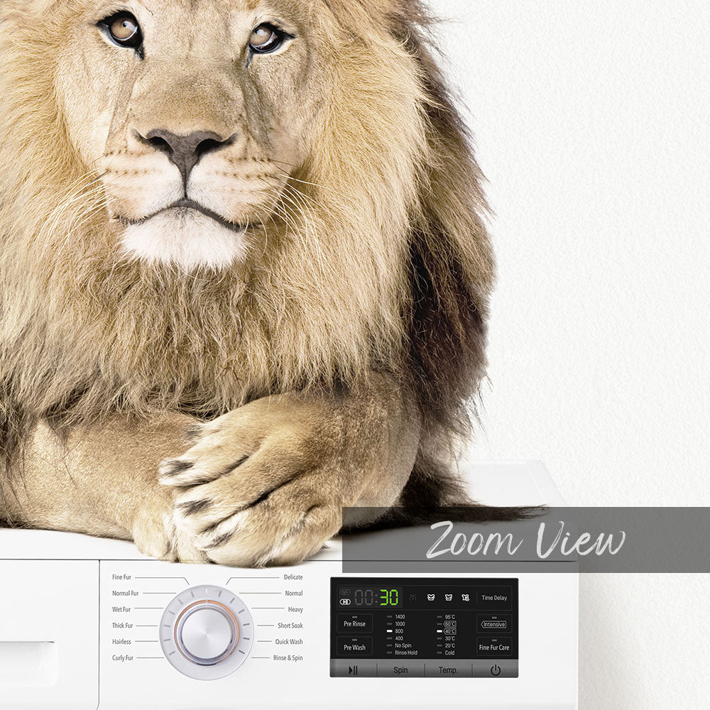 A lion resting its head on a washing machine control panel, with the text "Zoom View" displayed below.