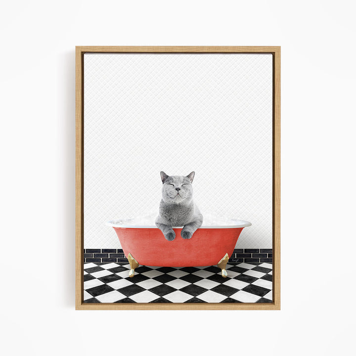A gray cat sitting in a red bathtub filled with bubbles, with a black and white checkered floor in the background.