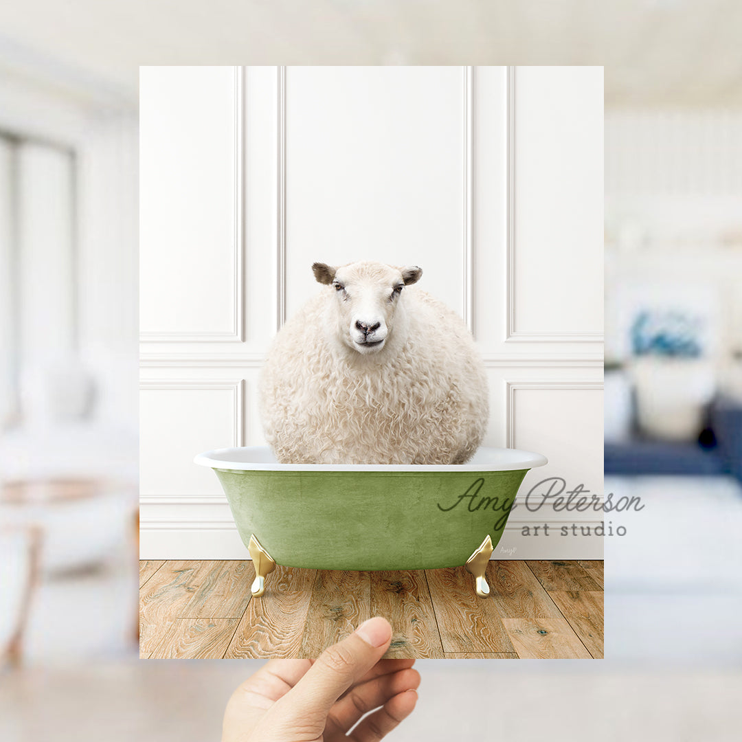 a sheep sitting in a green bath tub