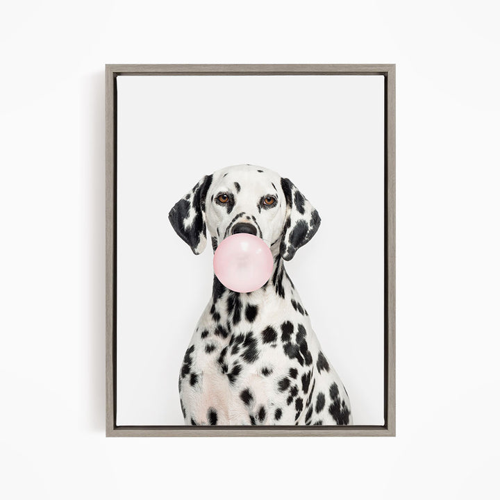 A Dalmatian dog is sitting on a white background, holding a pink bubble gum bubble in its mouth.