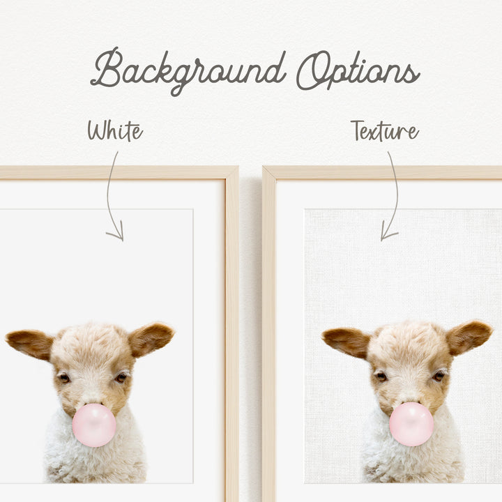 a cute lamb blowing a bubble with a pink bubble gum bubble.