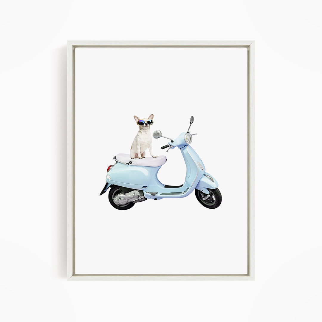 A small white dog wearing sunglasses is sitting on a light blue scooter.