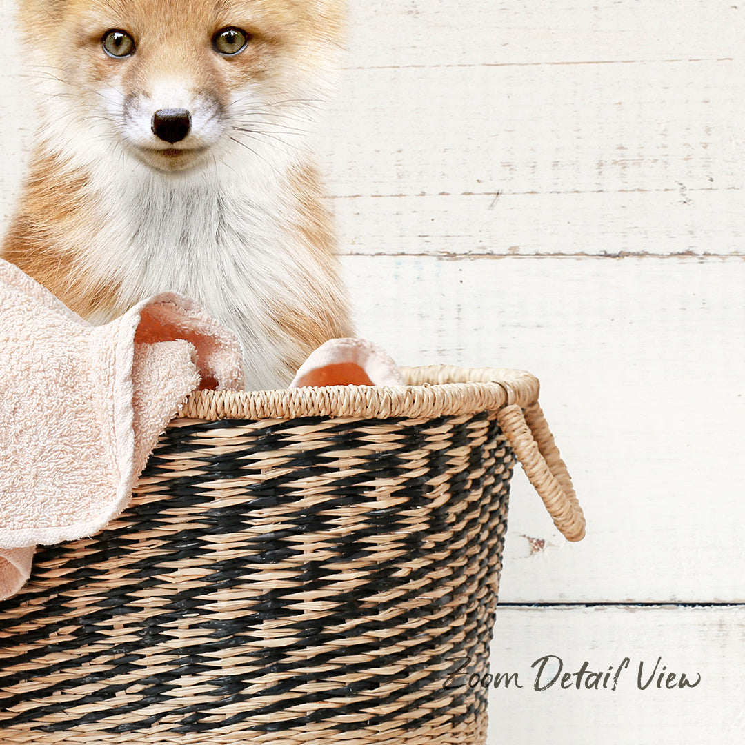 A curious orange fox peeking out from a woven basket, with a white wooden wall in the background.