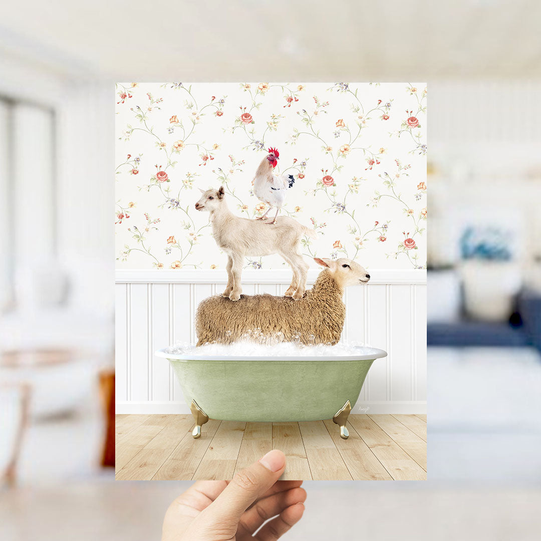 A hand holds up a framed image depicting a goat standing on a sheep's back in a bathtub, with a rooster perched on the sheep's back.