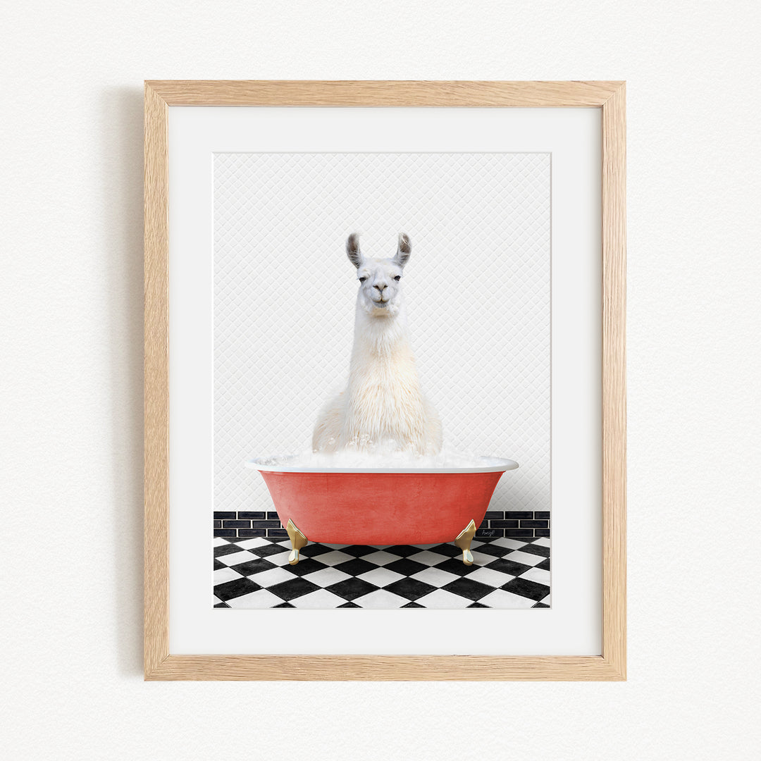 A white llama sitting in a red bathtub on a black and white checkered floor.
