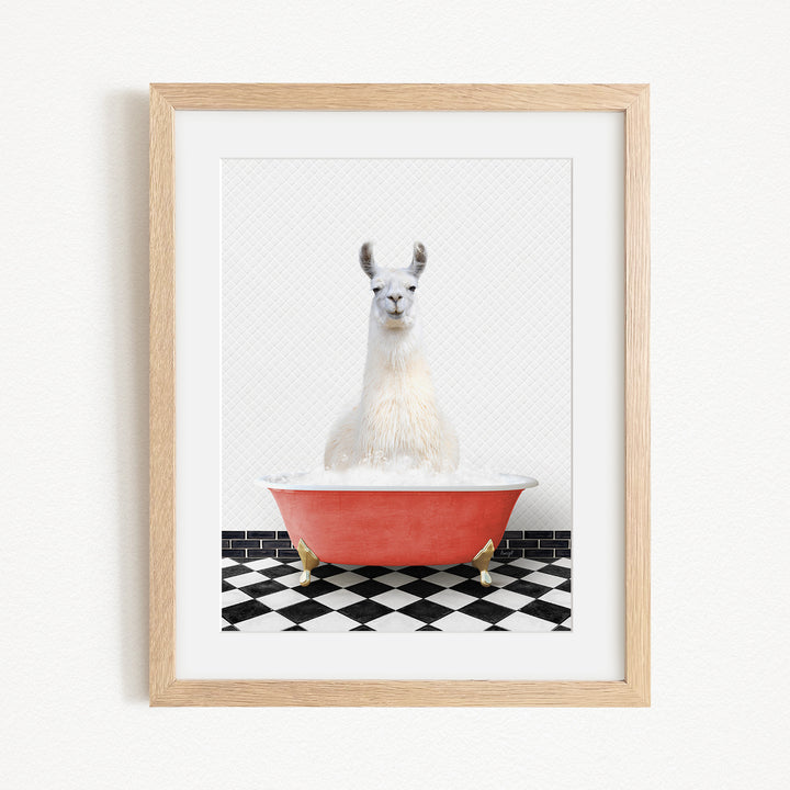 A white llama sitting in a red bathtub on a black and white checkered floor.