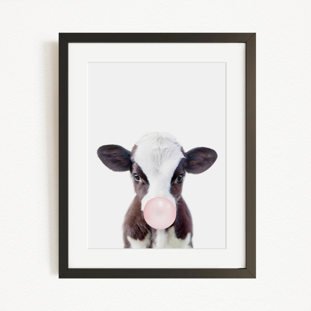 A framed image of a cow blowing a bubble with a pink bubble gum bubble.