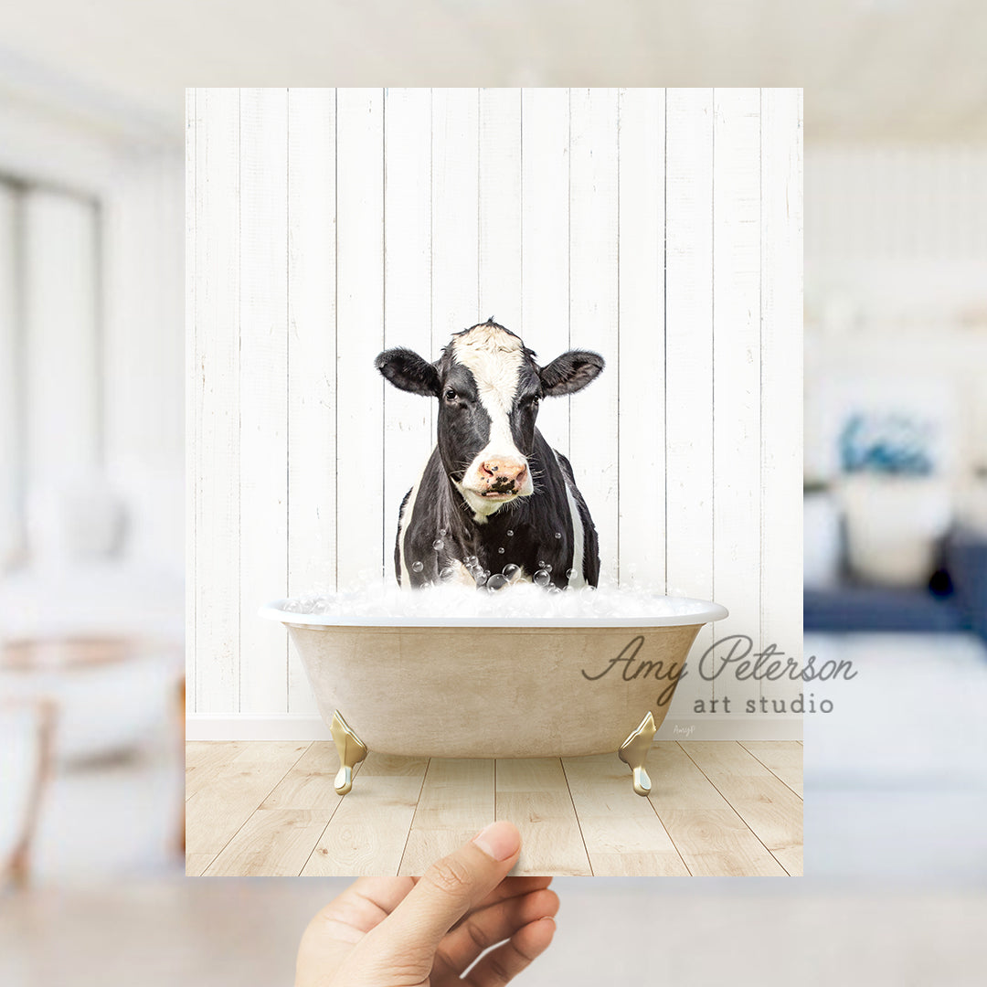 a black and white cow sitting in a bathtub