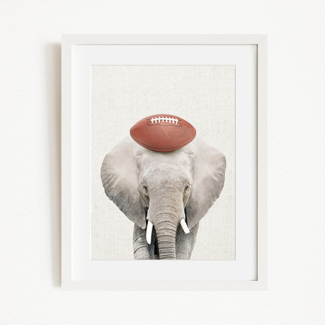 A framed image of an elephant holding a football on its head.