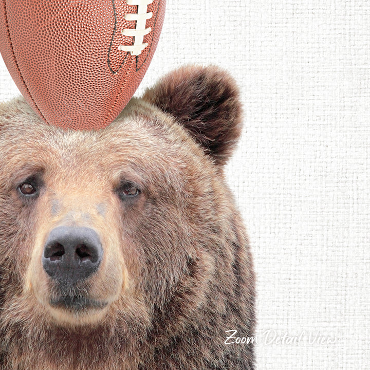 A close-up of a brown bear's face, with a football resting on its head.