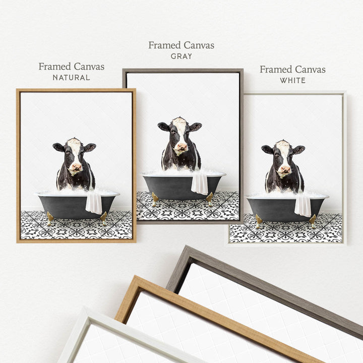 three framed pictures of a cow sitting in a bathtub, each with a different colored frame.
