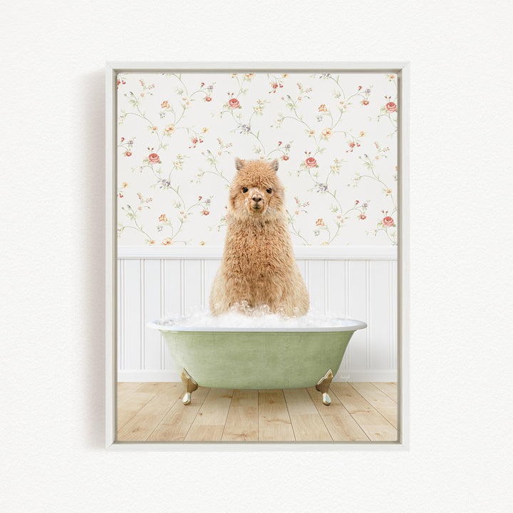 A fluffy brown dog sitting in a green bathtub filled with bubbles, with a floral wallpaper in the background.
