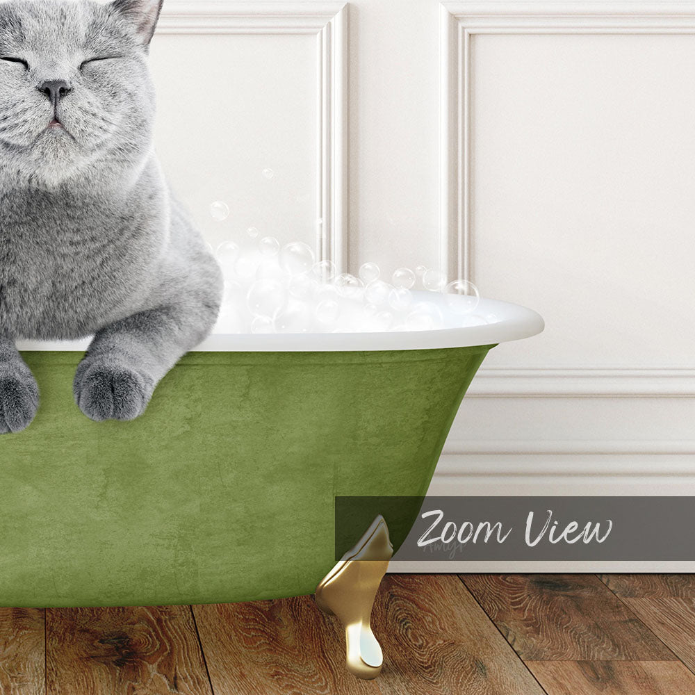 A gray cat sitting in a green bathtub filled with bubbles, with a white door and wooden floor in the background.