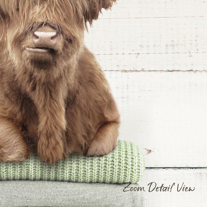 A close-up image of a brown furry animal, possibly a yak or a similar type of livestock, sitting on a green blanket or sweater against a white wooden background.