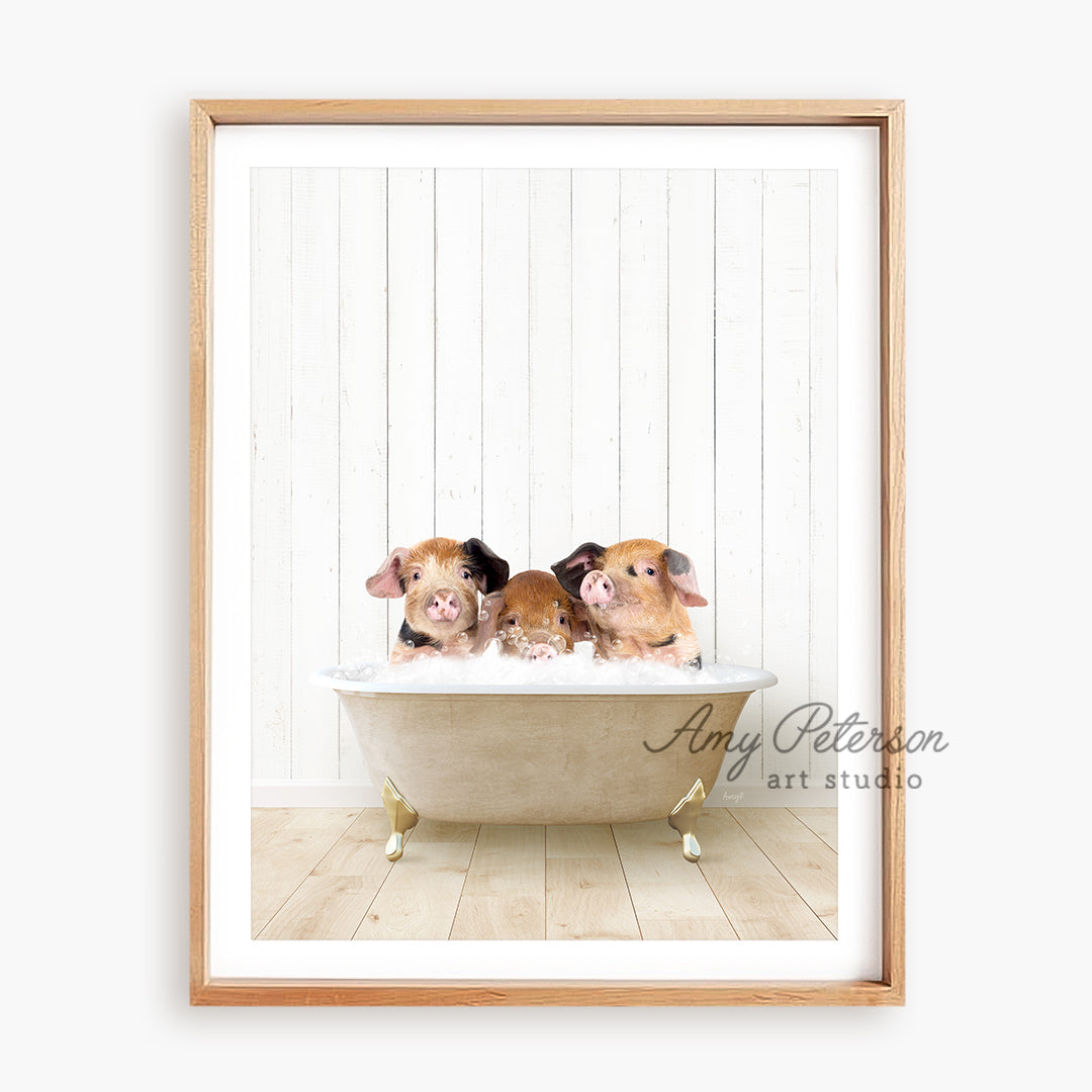 a picture of three hamsters in a bathtub