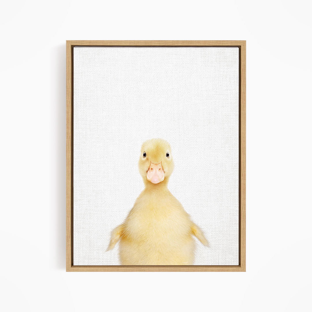 A cute yellow duck with a pink beak is the main subject of the image, which is a framed print of the duck against a white background.