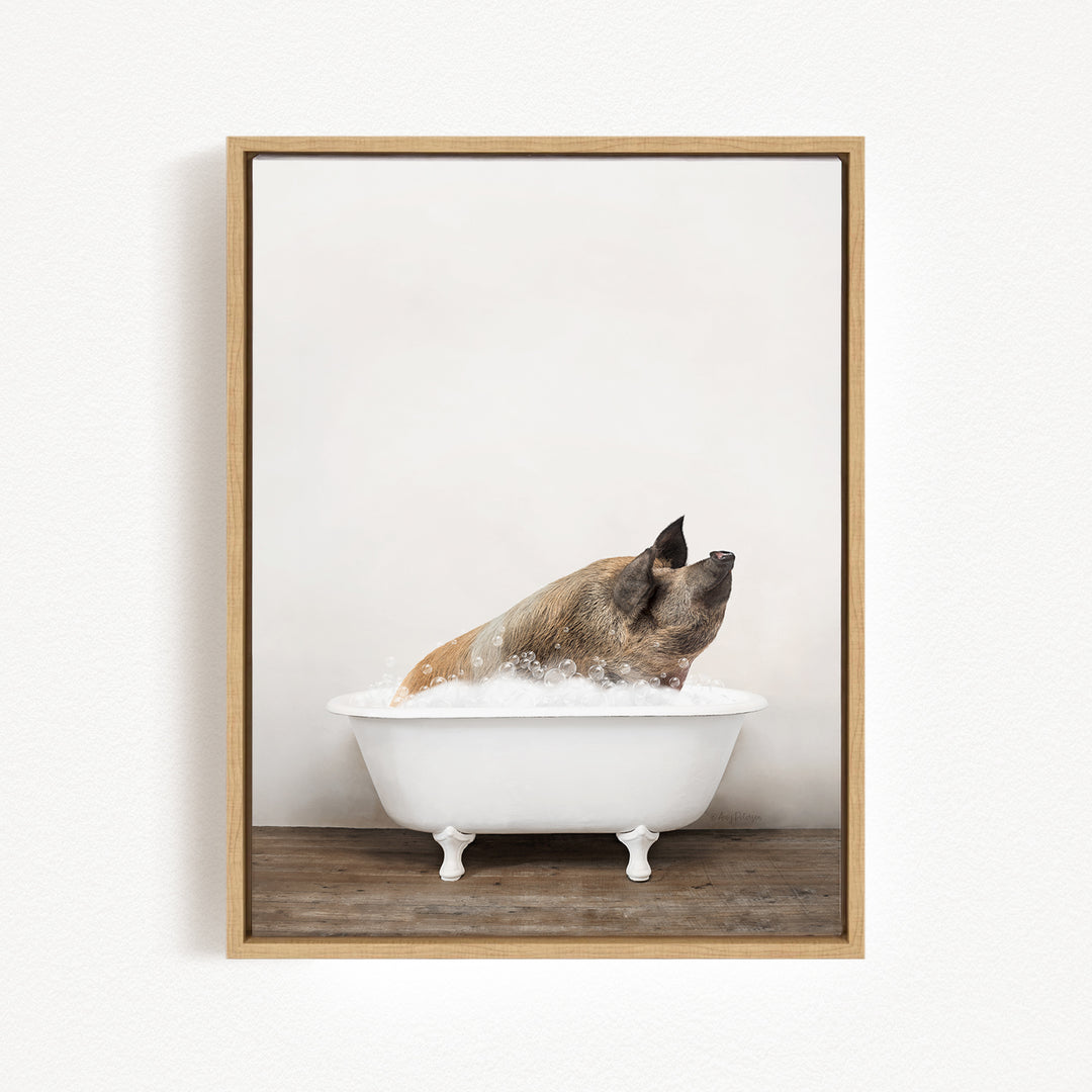 A brown dog is sitting in a white bathtub filled with water, looking up at the camera.