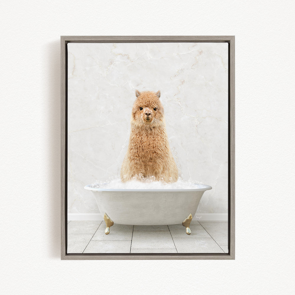 A fluffy alpaca sitting in a white bathtub filled with bubbles, looking directly at the camera.