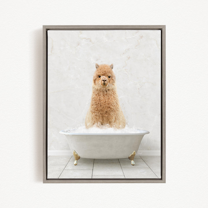 A fluffy alpaca sitting in a white bathtub filled with bubbles, looking directly at the camera.