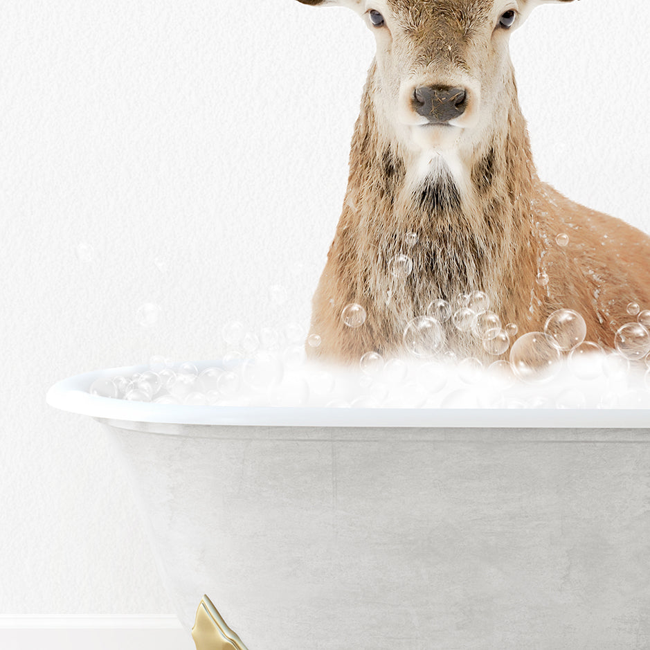 a deer is sitting in a bathtub with bubbles