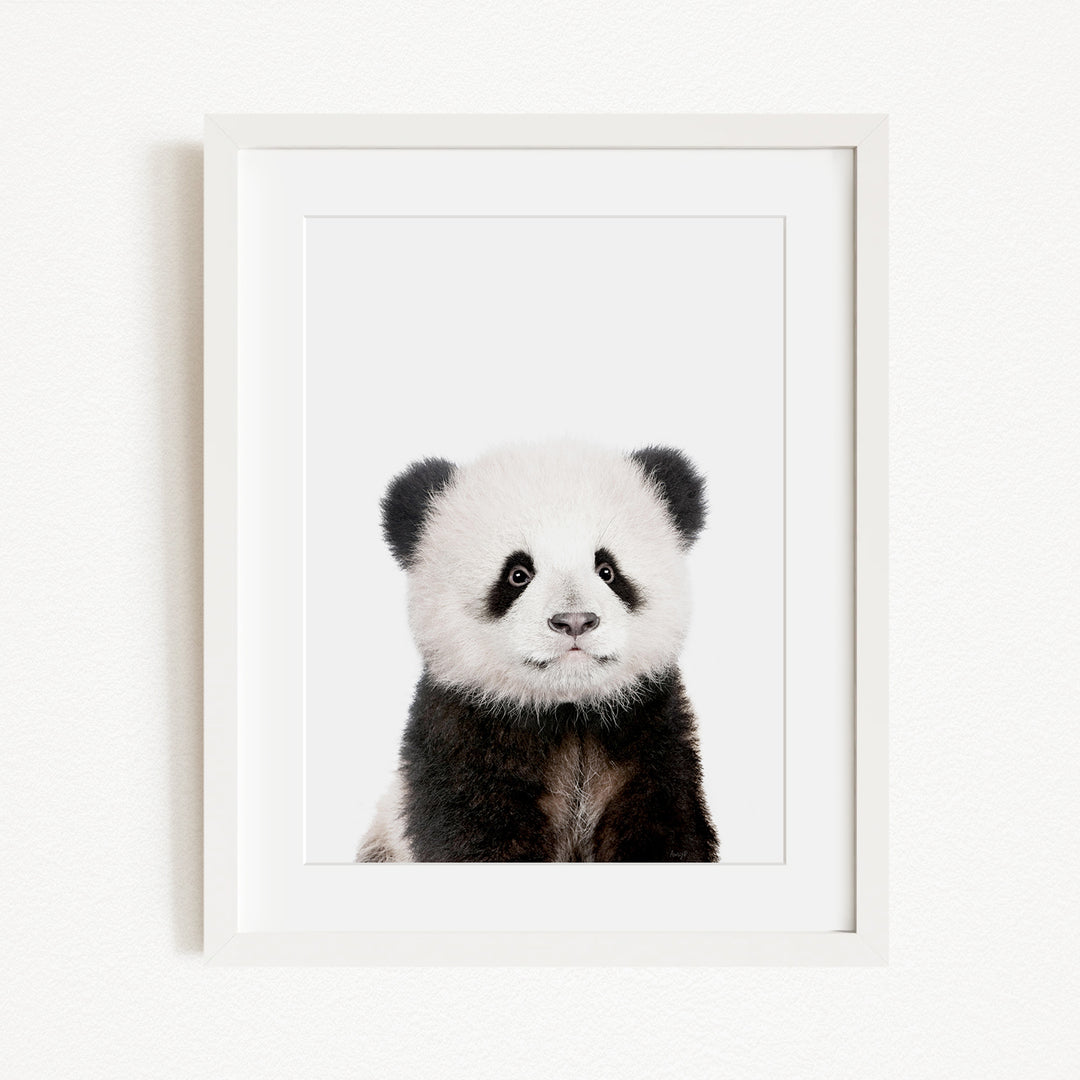 A panda bear with black and white fur is the focus of the image, which is a framed print.