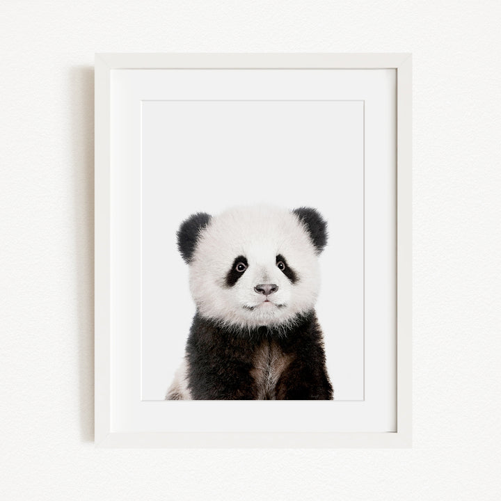 A panda bear with black and white fur is the focus of the image, which is a framed print.